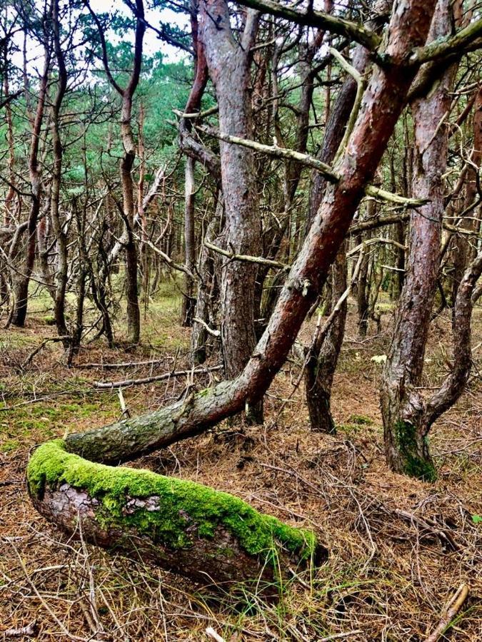 Ziemupes Muiza & Spa Eksteriør billede
